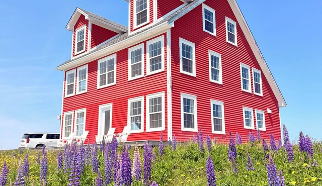 Red House on the Hill in beautiful English Habour, NL.
