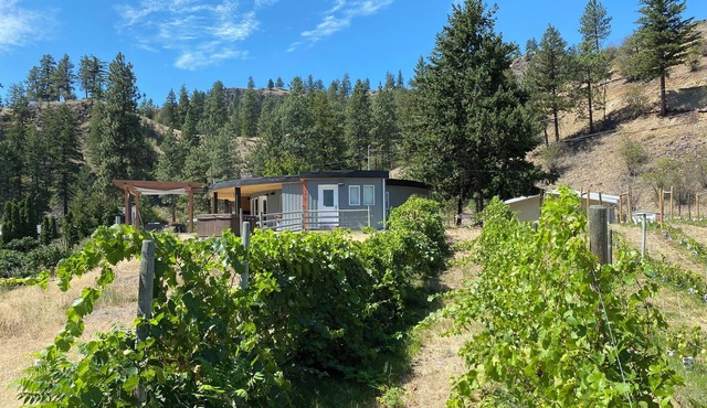 Roundhouse Ridge - Vineyard, Hot Tub and Acreage to Explore!