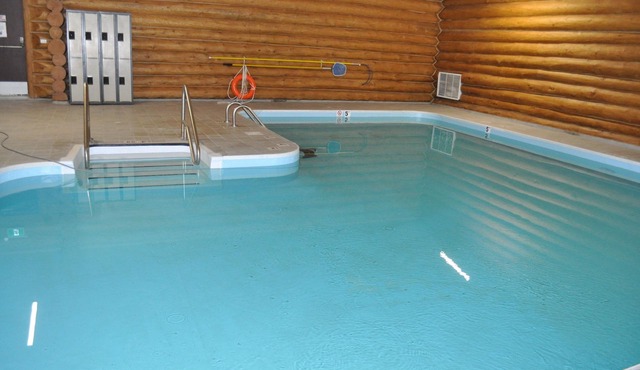 Rustic lakefront resort cabin with deck, WiFi, full kitchen - dog-friendly