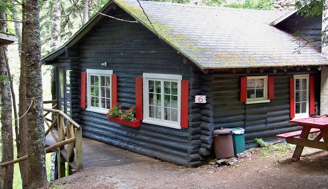 Rustic, split-level log cottage, River-view, Pet-friendly, Downeast Maine in Edmunds Twp