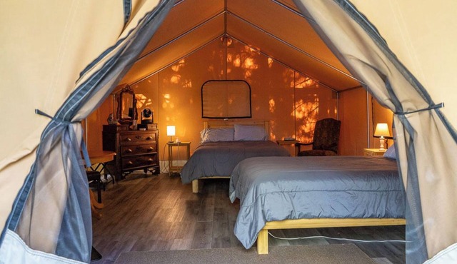 Safari Glamping Tent! Forest Retreat & Hot Tubs!