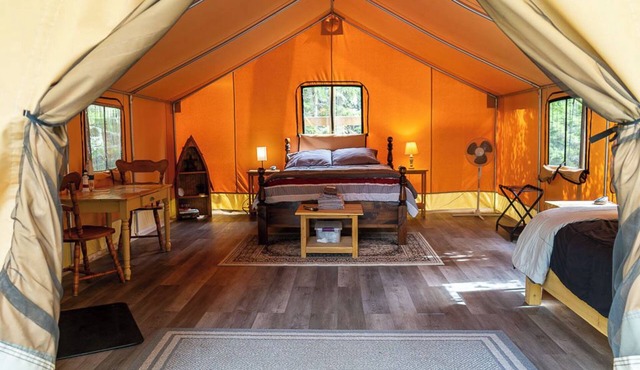 Safari Glamping Tent! Forest Retreat & Hot Tubs!