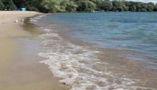 Sandy Beach Cottage steps to Lake Simcoe - 1 hr 20 mins from Toronto