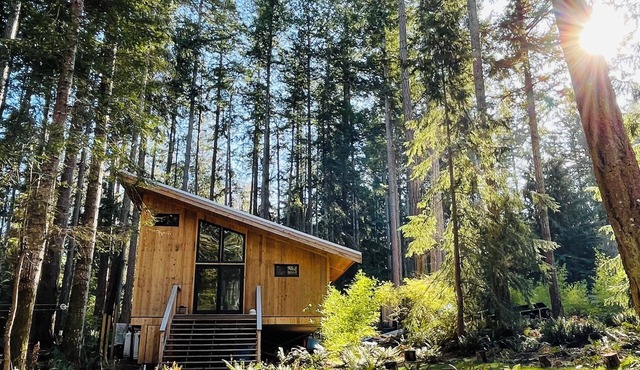 Savary Mid Island Modern