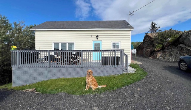 Scout's House