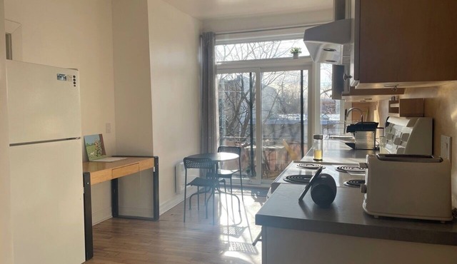 Spacious apartment in Rosemont, Montreal in Montréal