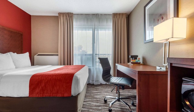 Spark by Hilton Oshawa