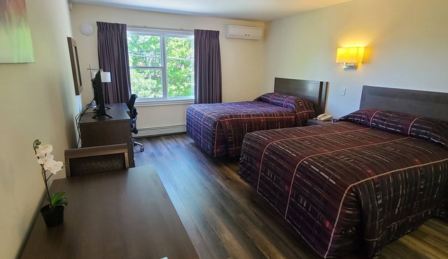 Stardust Motel Bedford