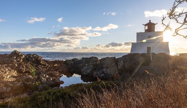 Steps to the Beach & Wild Pacific Trail! ⎮Sandpiper