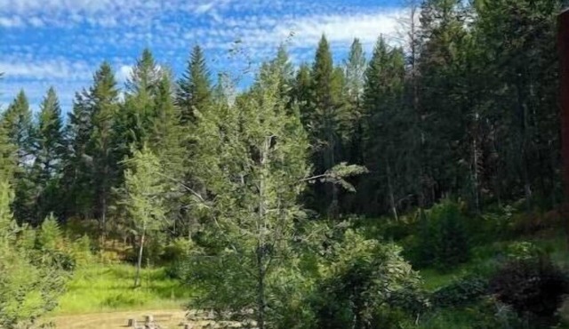 Stunning Custom Made Log Home- on 30 acres