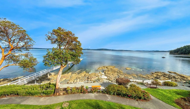 Stunning panoramic views! Spacious waterfront condo. *Newly renovated*