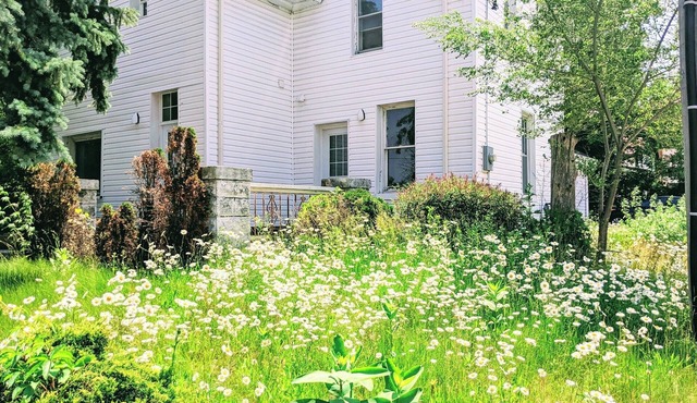 Stylish & Modern House ♥ Walking distance to Barrie Beach!