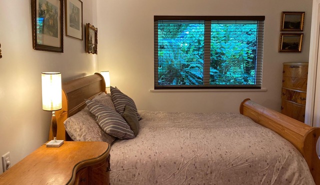 Sunny and Spacious Garden Suite 5 minutes to Ocean 20 minutes to downtown