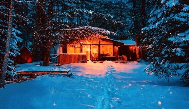 Sunset Pines Oasis - Beautiful Muskoka Waterfront Cottage