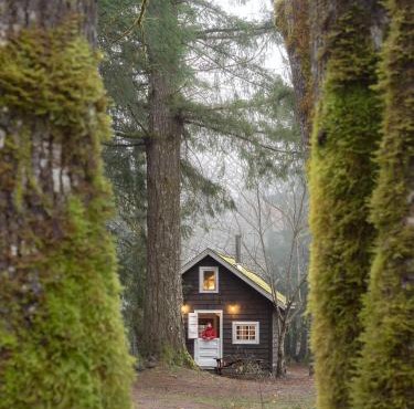 Sunwolf Riverside Cabins