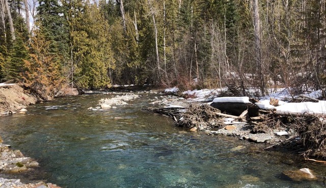 Surrounded by Nature: Enjoy Scenic Campground up to 8 pax in Pinnacle Chalet