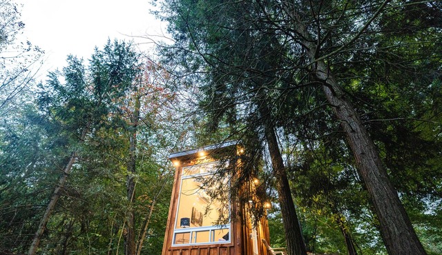 The Bracken Cabin at Fernwood Hills