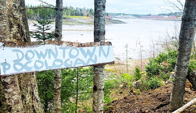 The Cove House - Cozy Coastal Getaway for Relaxation, 5mins from New River Beach