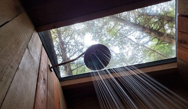 The Sapling Cabin by Evergreen Forest Cabins