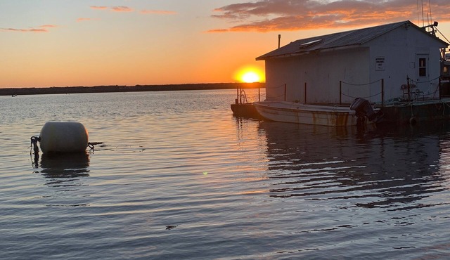 The Sunrises Are Amazing!
