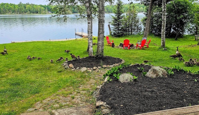 The Wolf Den on White Lake!
