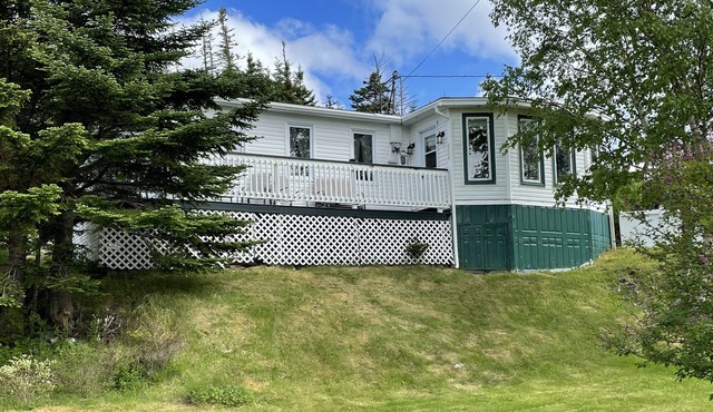 This Cabin Steps from the East Coast trail, fishing ponds and whale Watching!