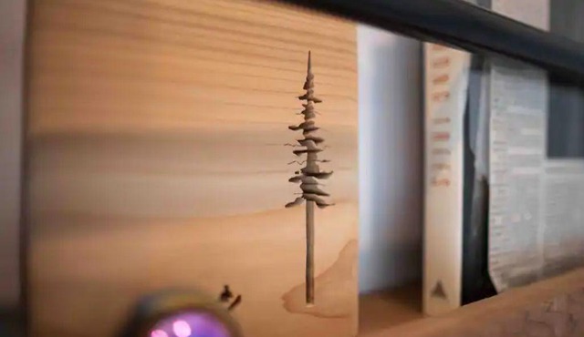 Tiny House Big View