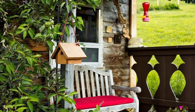 Tranquil Retreat near Castle Wildland Provincial Park (dog friendly!)