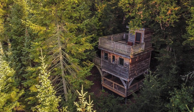 Treehouse by the lake, with rooftop terrace | Lodging #02
