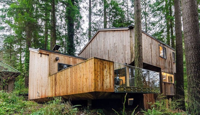 Treehouse in the Woods