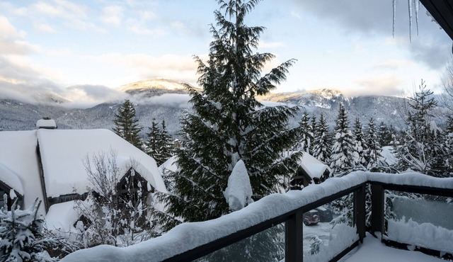 TRUE ski in/out. ski bike hike to BOTH Gondolas-Pvt HotTub VIEWS-walk everywhere