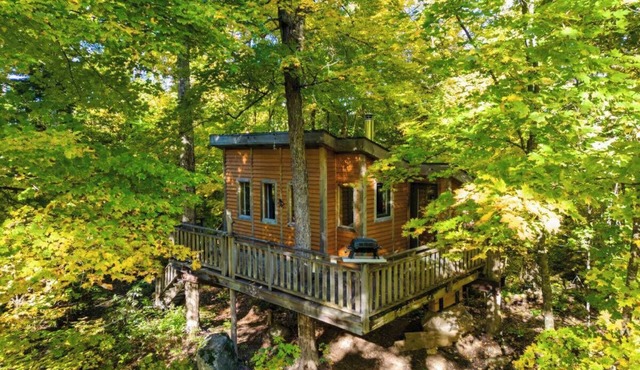 Unique treehouse in the forest, close to reception | Lodging #07