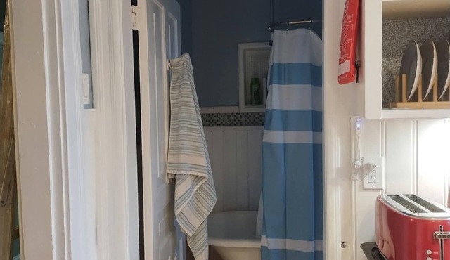 Upper Floor of Restored Victorian Home - Family & Pet Friendly, Private Entrance