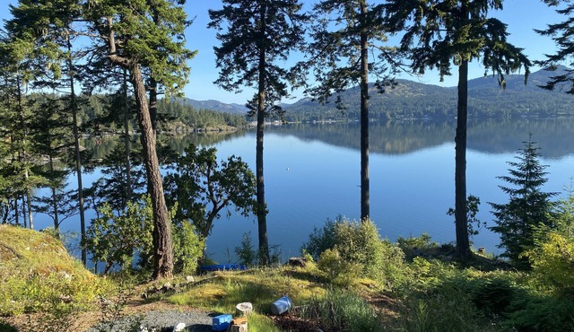 Waterfront! Tiny House Sweet-Suite perched in the forest on the oceanfront.