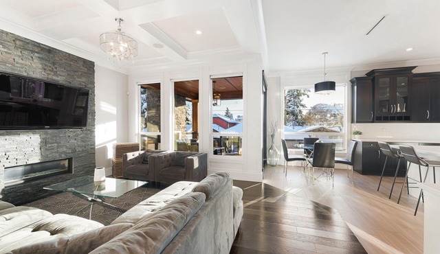 Welcome to the Bold and Modern!