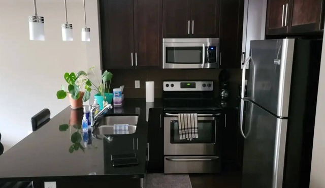 Wonderful 1-bedrm Condo, free parking, Netflix/Prime Video, insuite washer/dryer