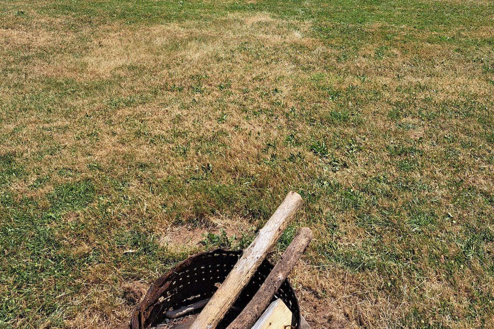 Photo of Others in Troy