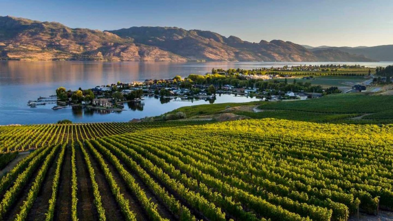 Photo of Others in West Kelowna Estates