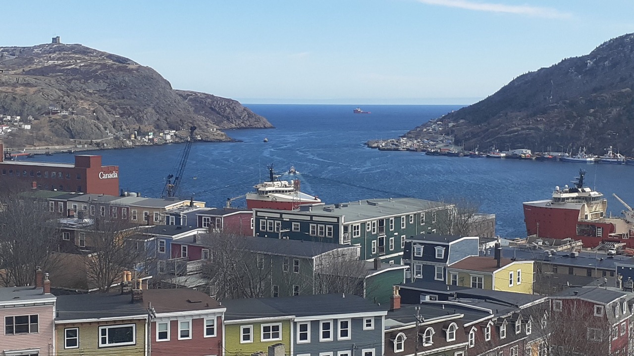 Photo of Others in Downtown St. John's