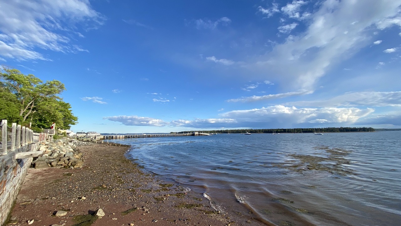 Photo of Others in St. Andrews