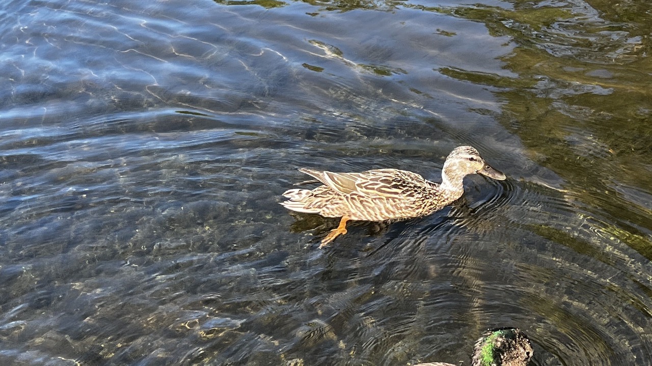 Photo of Outdoor in Saint John
