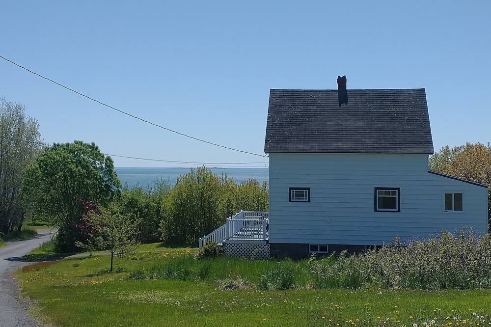 Photo of Others in Seal Cove