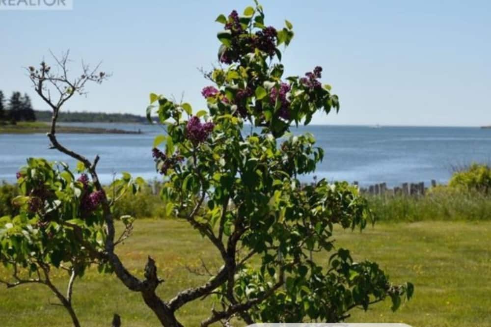 Photo of Others in Grand Manan Island