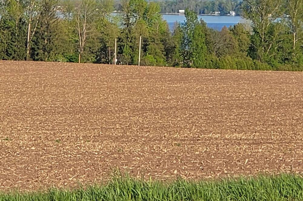 Photo of Others in Fenelon Falls