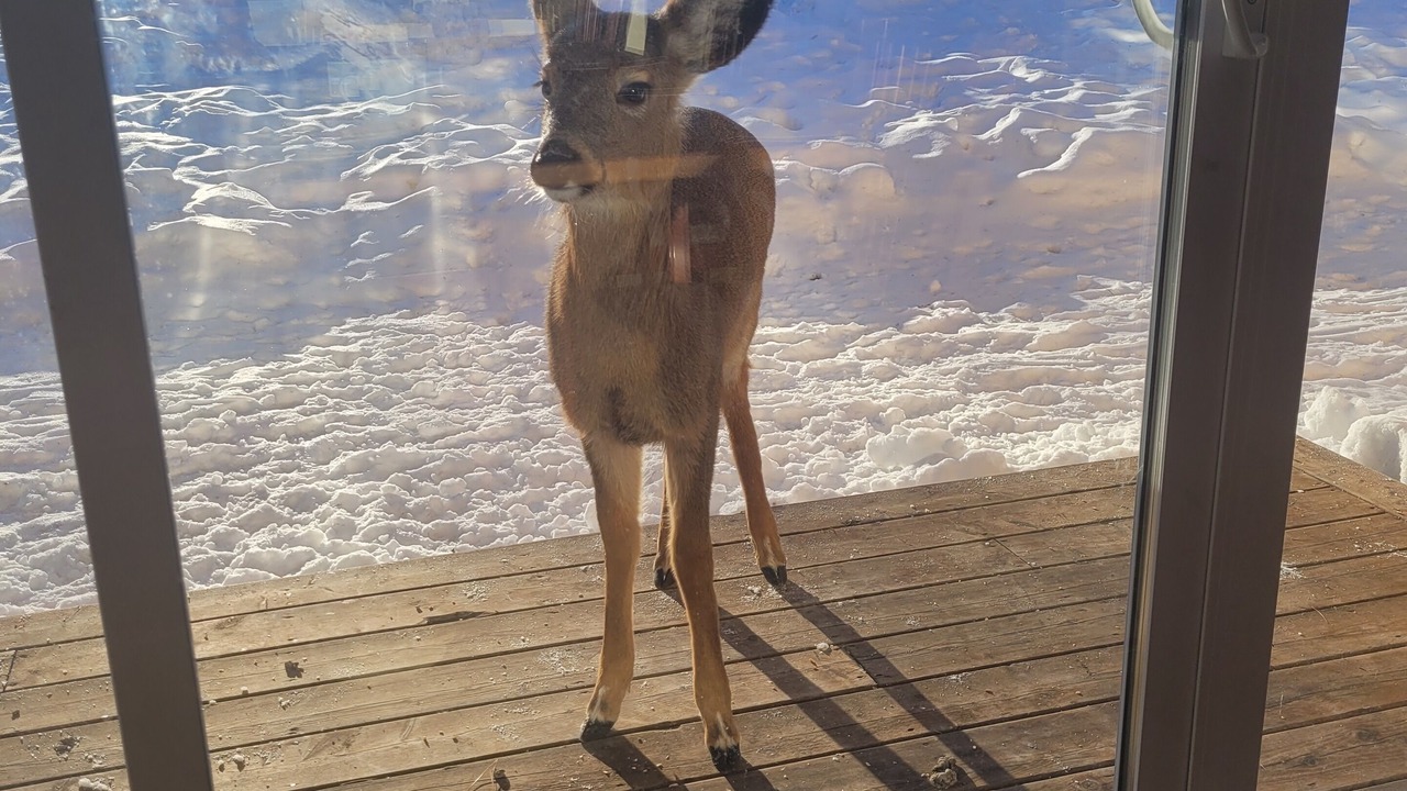 Photo of Outdoor in Val David