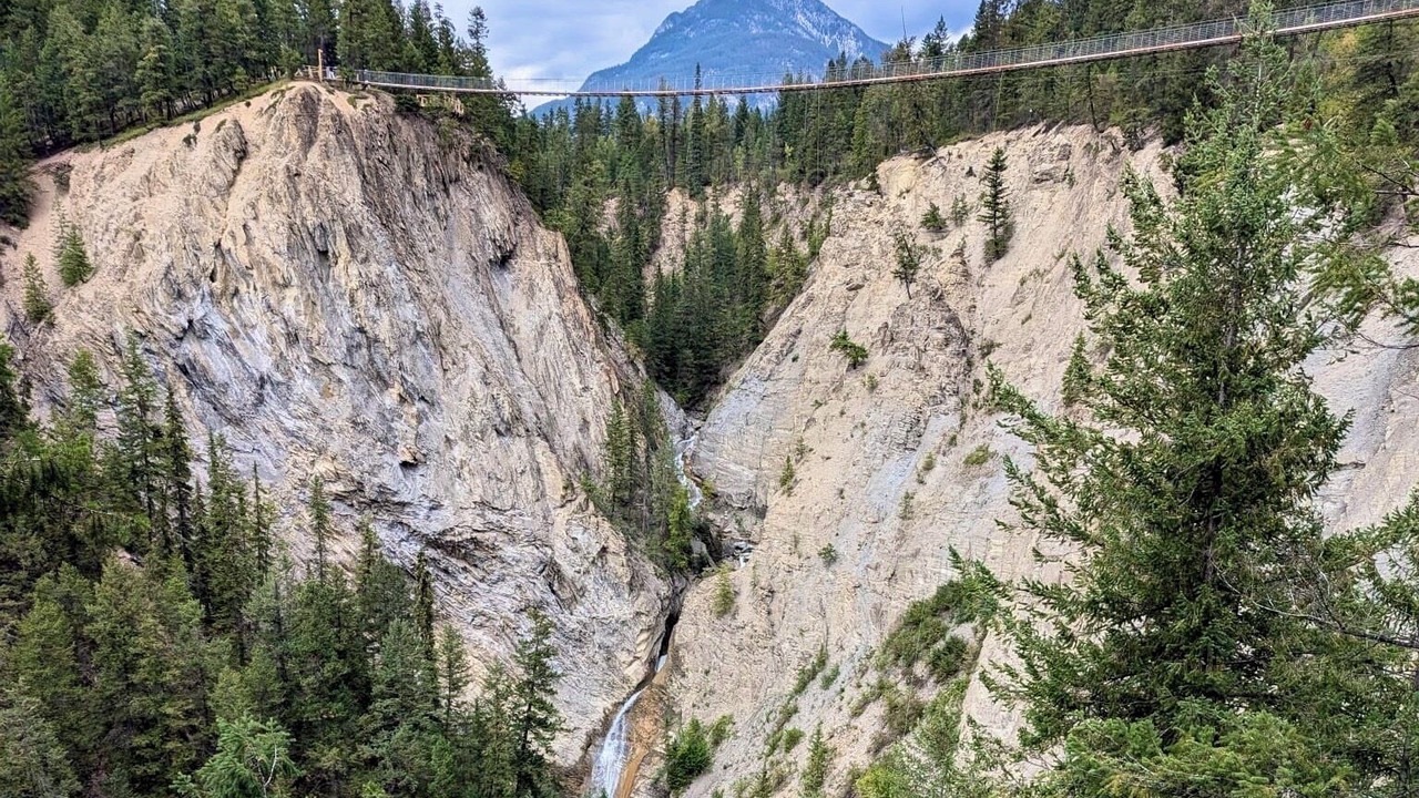 Photo of Outdoor in Golden