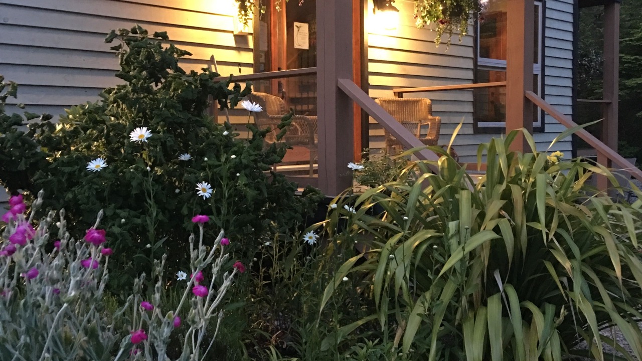 Photo of Outdoor in Tofino