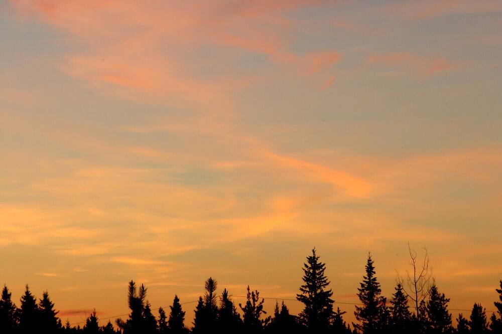 Photo of Others in Prince George