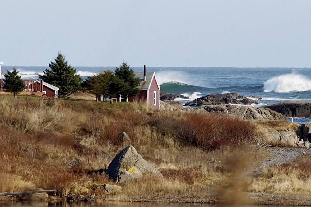Photo of Others in Sampson Cove