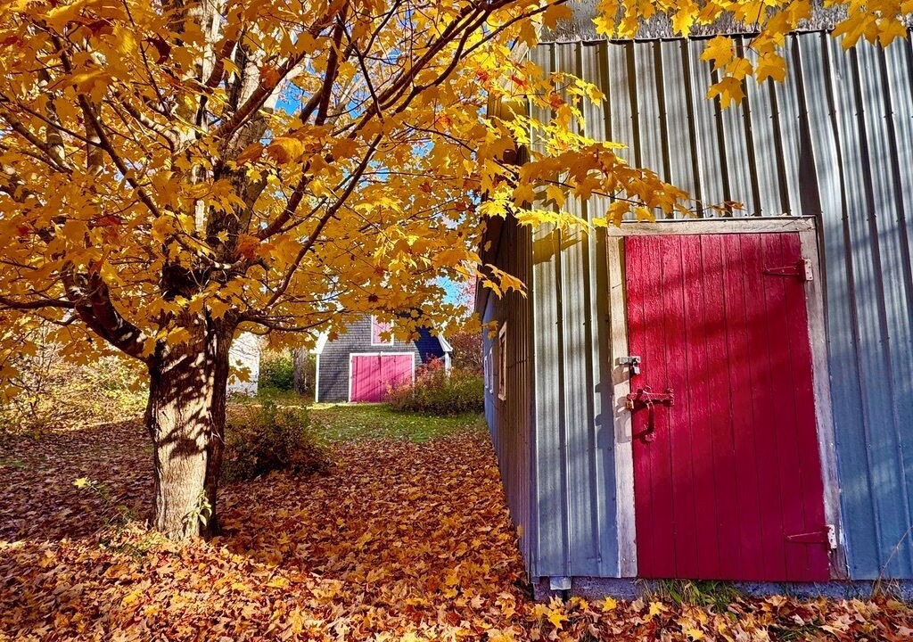 Photo of Outdoor in Margaree Valley